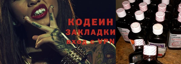 дживик Инта