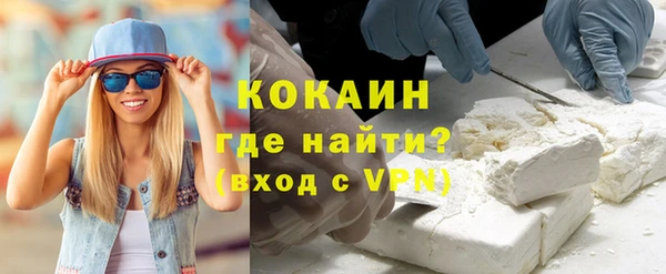 дживик Инта