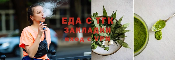 дживик Инта