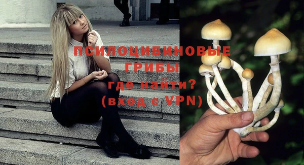 дживик Инта