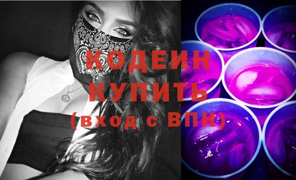 дживик Инта