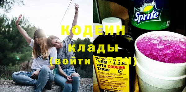 дживик Инта