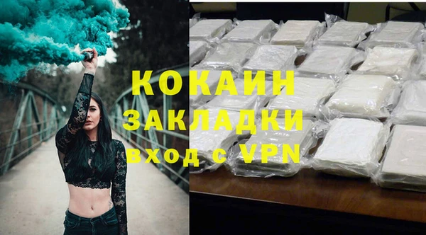 дживик Инта