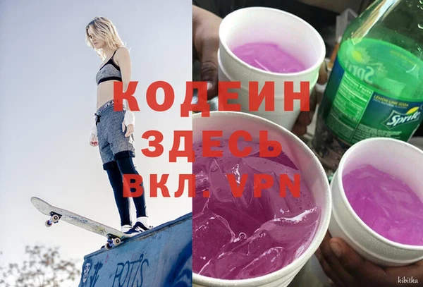 дживик Инта
