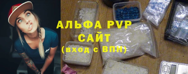 дживик Инта