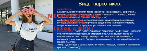 дживик Инта