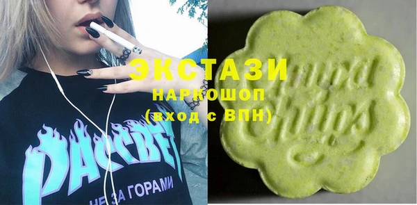 дживик Инта