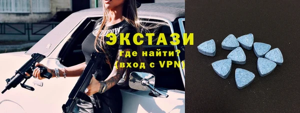 дживик Инта